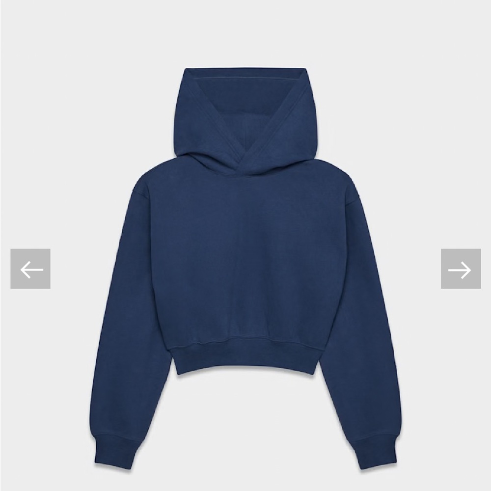 Aritzia Golden Fleece Cozy Blue Cropped Hoodie - Picture 5 of 7